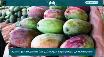 أسعار الفاكهة في سوهاج تتأرجح اليوم الإثنين حيث بلغ ثمن المانجو 40 جنيها